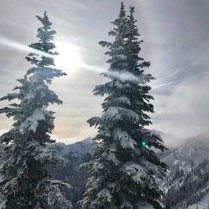 Meet your Posher, Christy